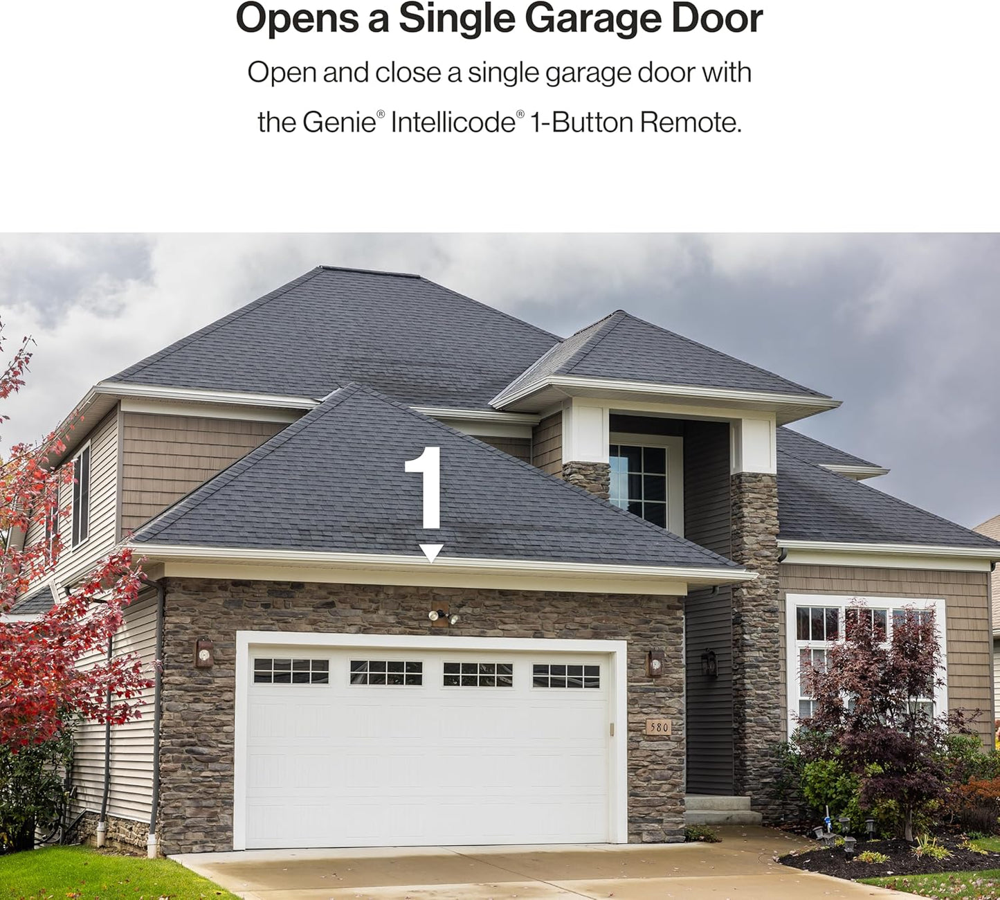 Genie Single-Button Garage Door Opener Remote, Intellicode Security, Dual Frequency 315/390 MHz